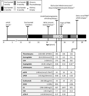 Case Report: Variable Pharmacokinetic Profile of Eculizumab in an aHUS Patient